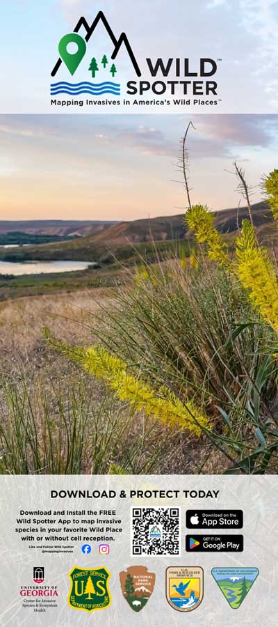 Design for a retractable banner featuring the Wild Spotter logo at the top, an image of Hagerman Fossil Beds National Monument with a spiky plant with yellow blooms, and call-to-action information at the bottom, including a QR Code that says "Download & Protect Today".