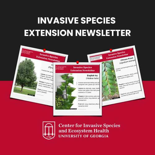A graphic promoting the "Invasive Species Extension Newsletter" developed by the UGA Center for Invasive Species. Copies of the newsletter are visible on the graphic.