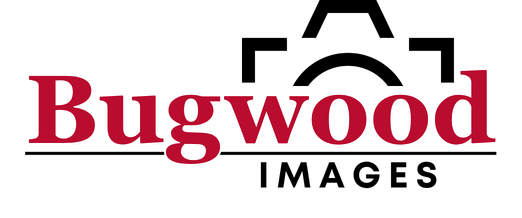 Bugwood Images logo with text :"Find, share and request usage of contributed images." Link to https://images.bugwood.org/.