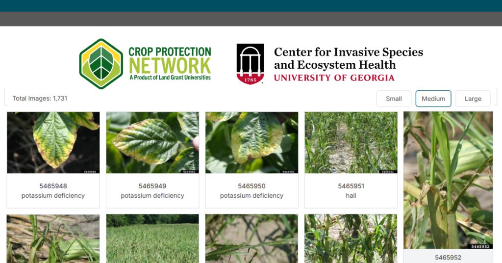 Logos for Crop Protection Network and UGA Center for Invasive Species & Ecosystem Health above a photo grid