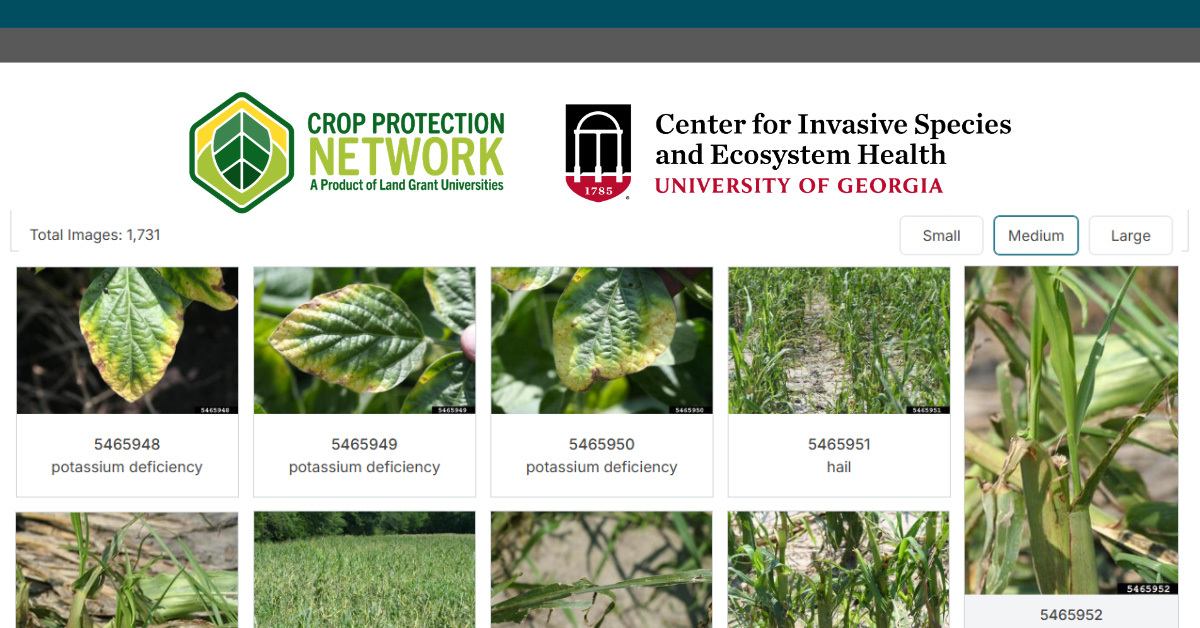 Logos for Crop Protection Network and UGA Center for Invasive Species & Ecosystem Health above a photo grid