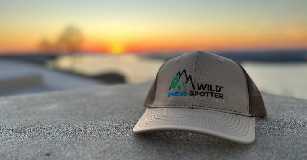 Cap with Wild Spotter logo in foreground and sunset in background.
