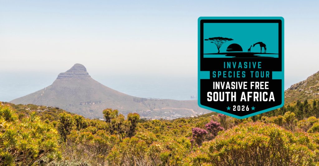 Scenic View of Lion's Head Mountain in Cape Town, South Africa, with green brush in foreground. Logo for Invasive Free South Africa 2026 - Invasive Species Tour in upper right corner.