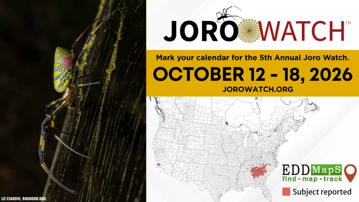 Graphic for Joro Watch 2026 set to take place October 12-18, 2026. Go to jorowatch.org for more information.