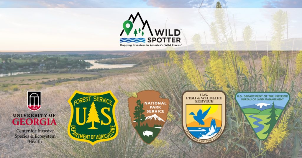 White banner with Wild Spotter logo. At the bottom of the image are logos for UGA Bugwood, US Forest Service, National Park Service, US Fish & Wildlife Service and Bureau of Land Management on background with yellow-blooming plant.