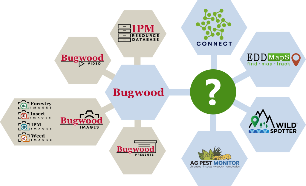 Infographic illustrating the Bugwood Support system and Bugwood Help Desk.