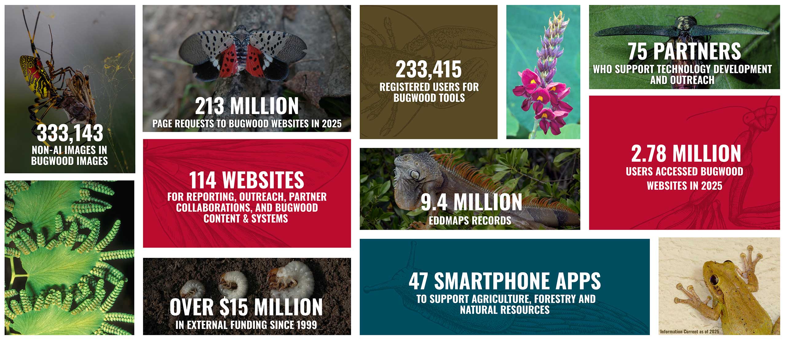 Image and Statistics Collage supporting Bugwood's work and impact.