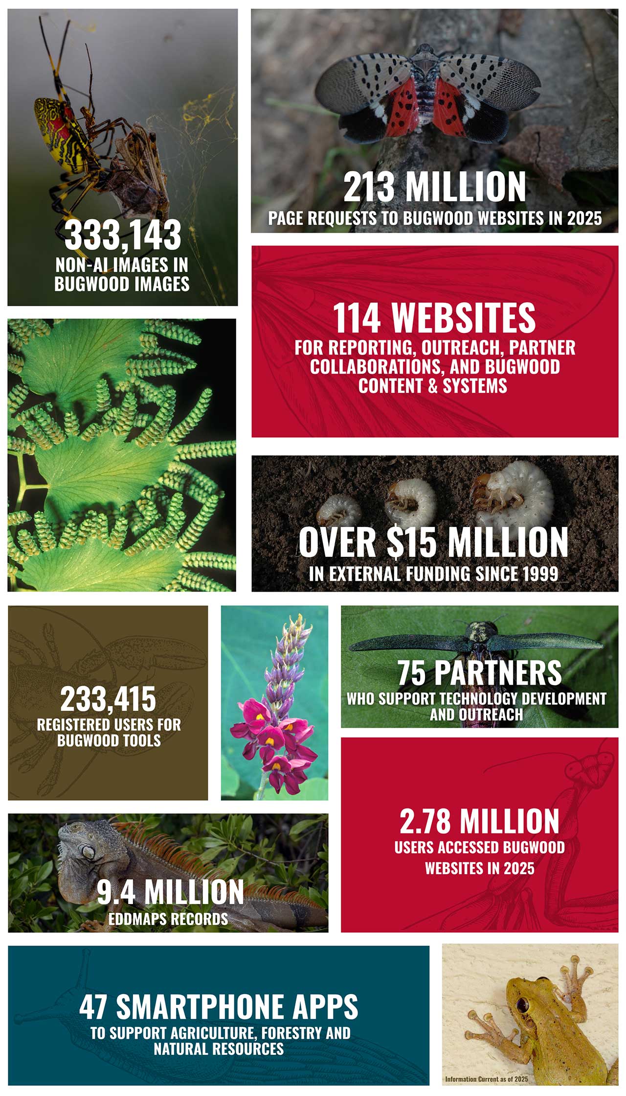 Image and Statistics Collage supporting Bugwood's work and impact.