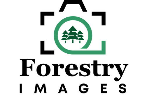 Forestry Images: "Focuses on forest health, forestry, silviculture, natural resources, trees, forest pests, diseases, wildlife, and management practices." https://forestryimages.org/.