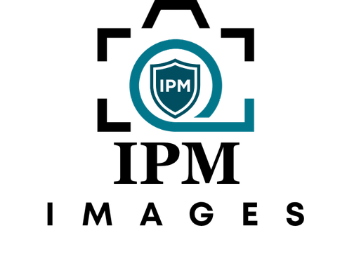 IPM Images: Covers Integrated Pest Management (IPM) across agricultural and horticultural commodities, including insects, diseases, weeds, crop symptoms, and diagnostics. https://www.ipmimages.org/