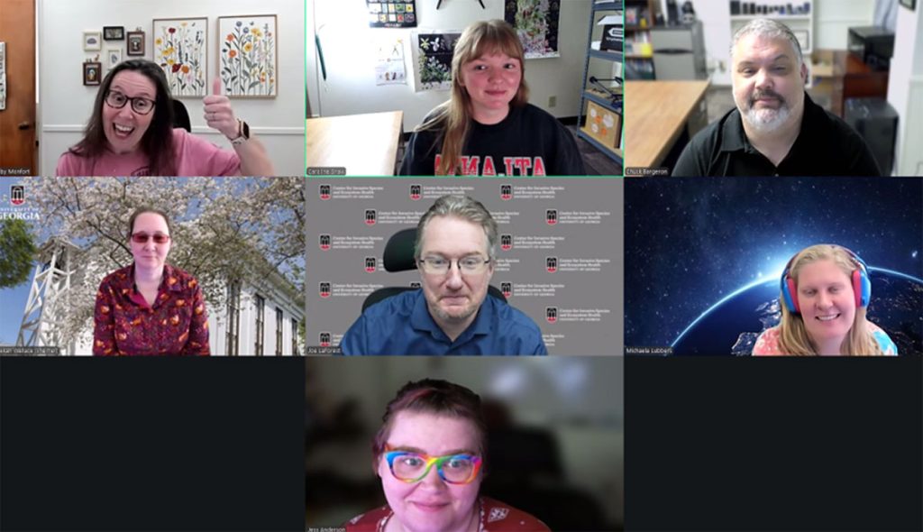 Screen capture of Bugwood Team members during Office Hours.