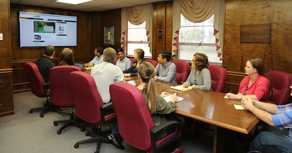 People seated at a conference table discussing a website projected on a large wall screen to test usability