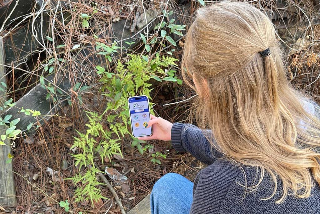 Back view of person using a mobile phone app to take a picture and report an invasive species.