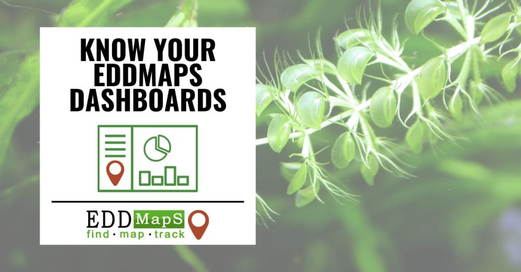 Bugwood Updates blog featured image reading "Know Your EDDMapS Dashboards" with EDDMapS dashboard icon and EDDMapS logo.