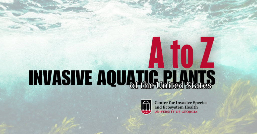 Text reading "A to Z Invasive Aquatic Plants of the United States" with the UGA Center for Invasive Species & Ecosystem Health logo on a background of underwater plants.